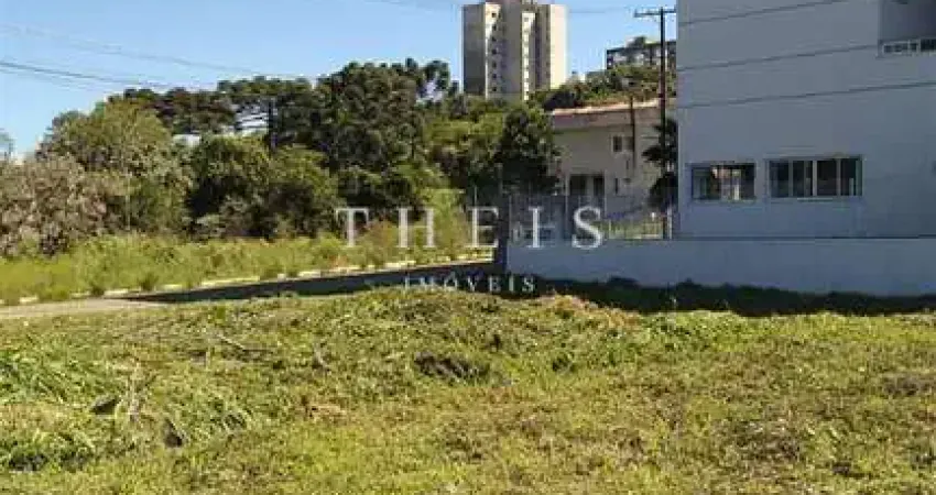 Terreno à venda no Pioneiro, Caxias do Sul 