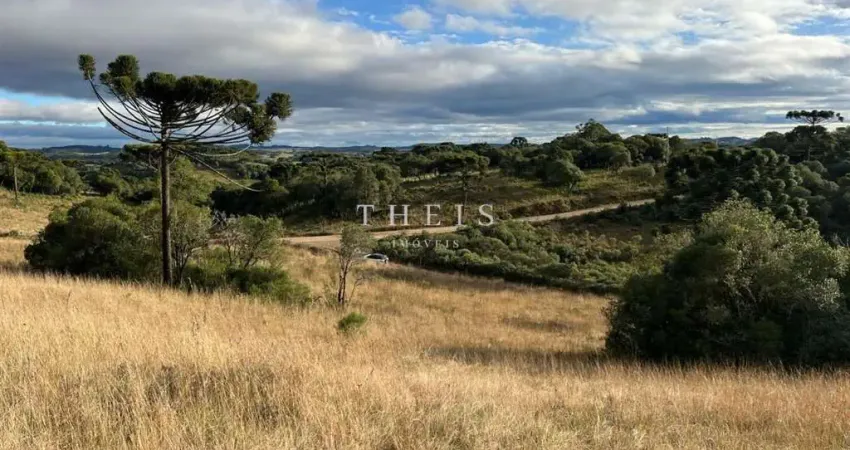 Chácara / sítio com 1 quarto à venda em Criúva, Caxias do Sul 