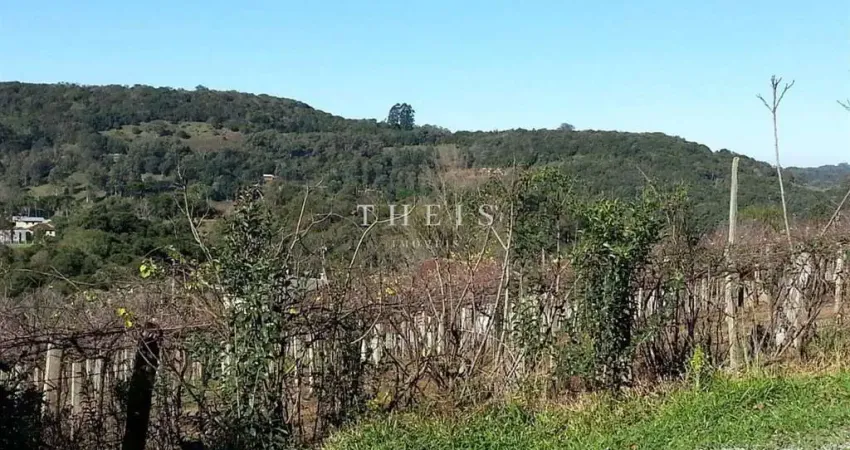 Chácara / sítio com 1 quarto à venda no Desvio Rizzo, Caxias do Sul