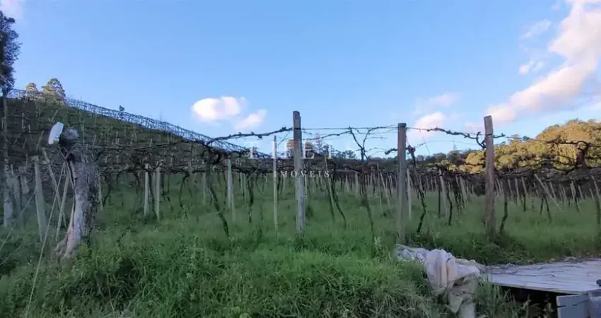 Chácara / sítio à venda no Kayser, Caxias do Sul