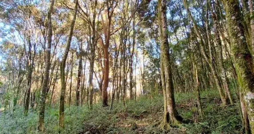 Terreno à venda na Zona Rural, Farroupilha