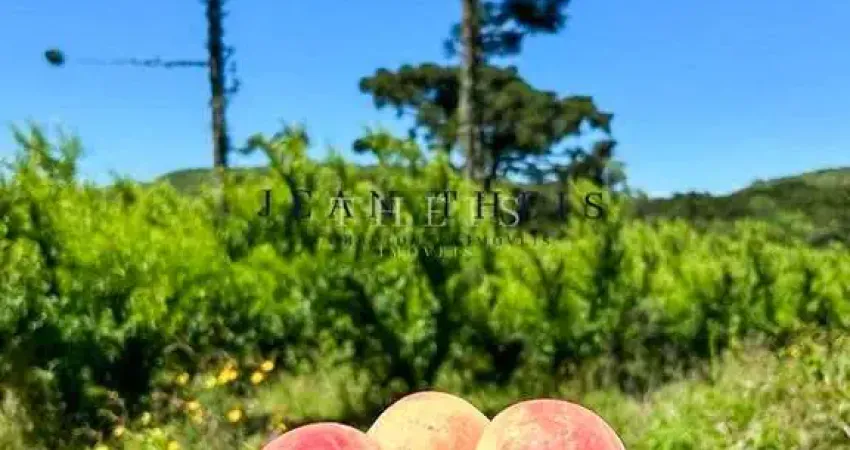 Chácara / sítio com 1 quarto à venda na Fazenda Souza, Caxias do Sul