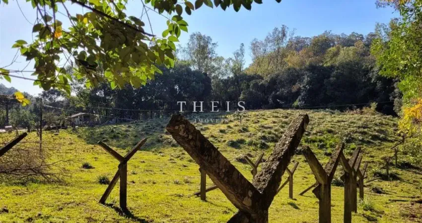 Chácara / sítio com 2 quartos à venda no Monte Bérico, Caxias do Sul 