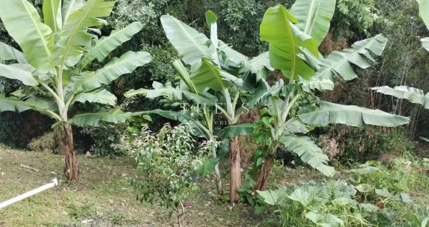 Chácara / sítio com 1 quarto à venda na Vila Oliva (Distrito), Caxias do Sul