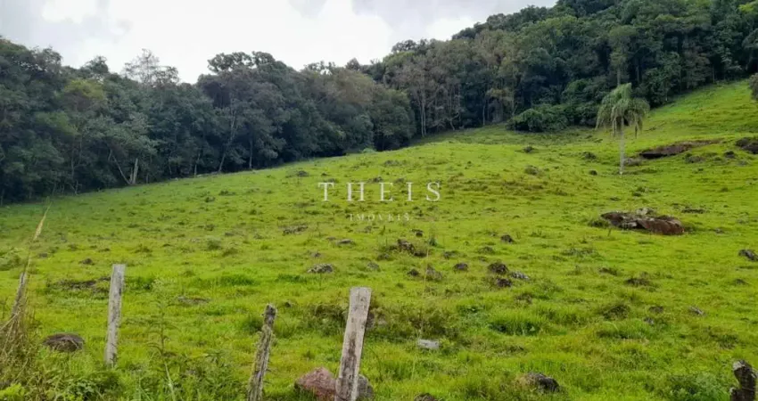 Chácara / sítio com 1 quarto à venda na Zona Rural, Caxias do Sul