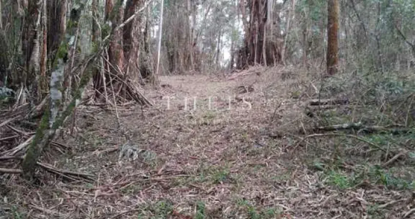 Terreno à venda no Pedras Brancas, São Marcos