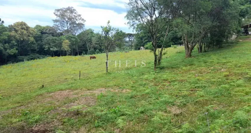 Chácara / sítio com 2 quartos à venda no São Pedro da Terceira Légua, Caxias do Sul