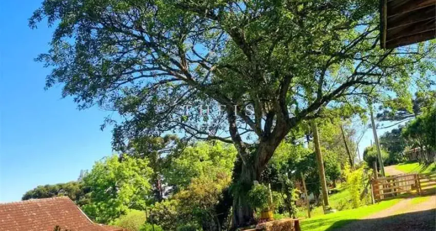 Chácara / sítio com 2 quartos à venda no Kayser, Caxias do Sul