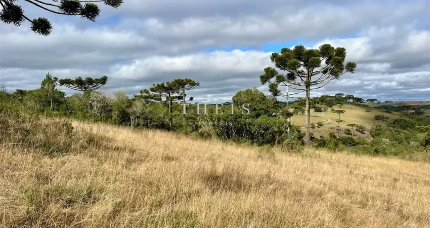 Chácara / sítio com 1 quarto à venda em Criúva, Caxias do Sul