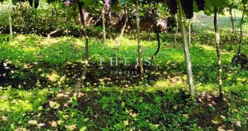 Chácara / sítio com 3 quartos à venda na Nossa Senhora das Graças, Caxias do Sul