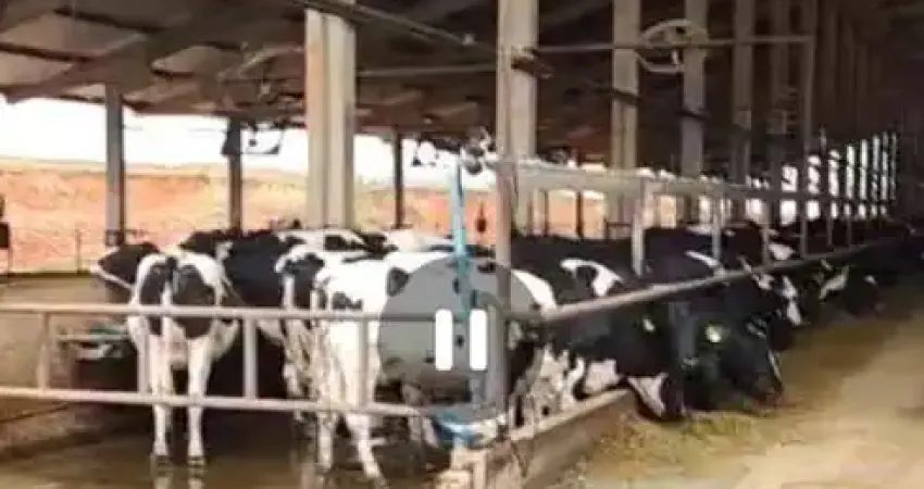Fazenda à venda na Avenida Antônio Olinto, 1000, Centro, Curvelo