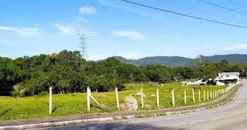 Área à venda, 6394 m² por R$ 2.000.000,00 - Ratones - Florianópolis/SC