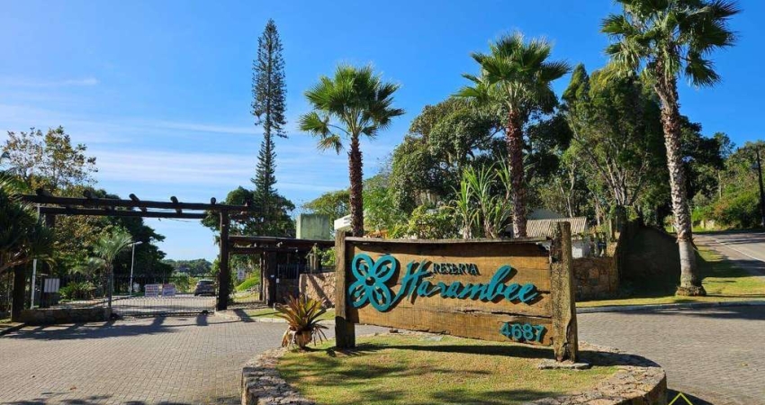 Terreno à venda, 3333 m² por R$ 1.450.000,00 - Ratones - Florianópolis/SC