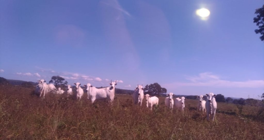 Fazenda com 2 salas à venda na Rua Principal, S/N°, Zona Rural, Poxoréu