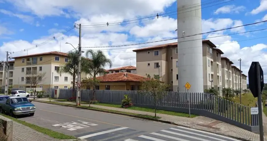 Apartamento com 2 quartos para alugar na Rua Hugo Zen, Colônia Rio Grande, São José dos Pinhais