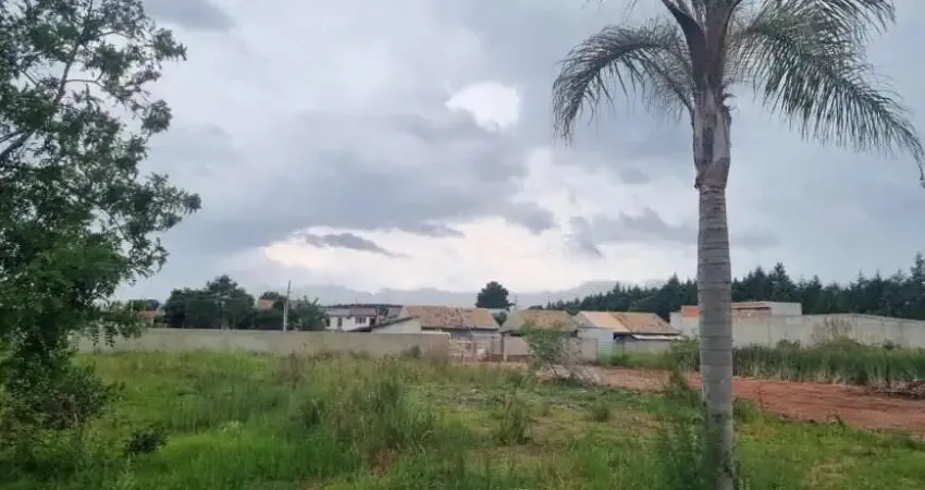 Terreno comercial à venda na Rua Belmiro Moreira, Águas Claras, Piraquara