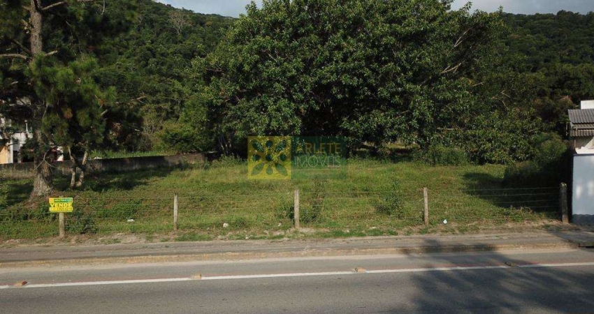 Terreno comercial à venda na Avenida José Neoli Cruz, Balneário Perequê, Porto Belo