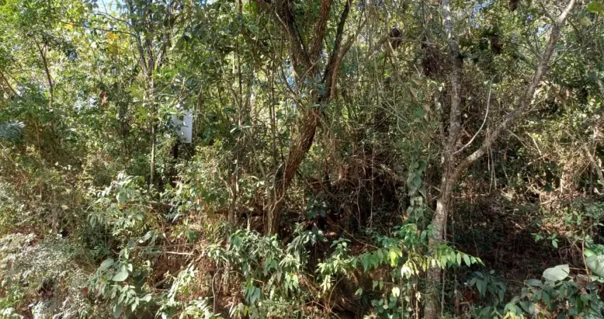Chácara / sítio com 1 quarto à venda na Vereda das Figueiras, Retiro Vale do Sol, Embu das Artes