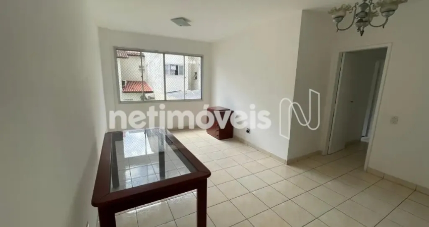 Lindo e Amplo 03 Qtos Suíte Varanda Oportunidade Única