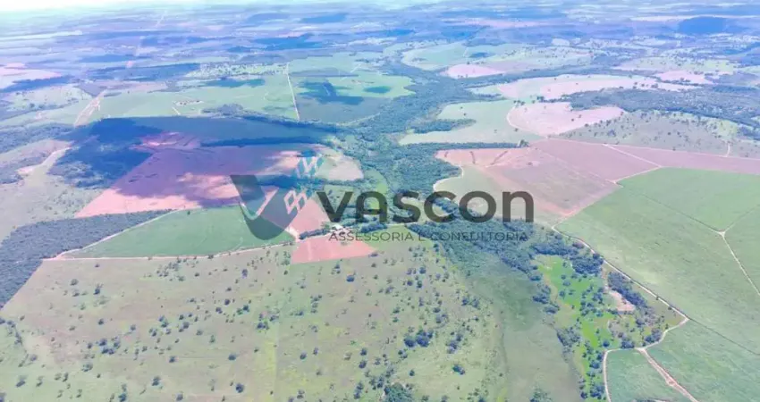 Fazenda à venda na Zona Rural, Prata