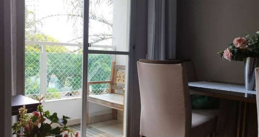 Apartamento para venda na Zona Sul de SP, 03 dormitórios.