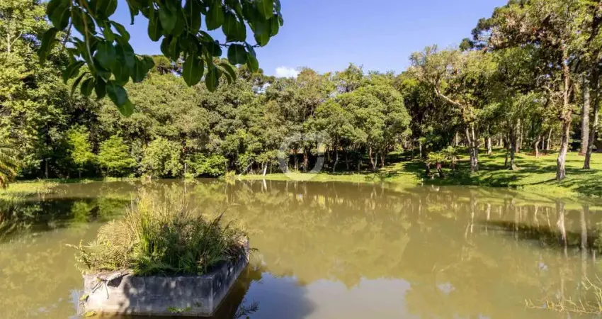 Chácara / sítio com 3 quartos à venda na Estrada Arlindo Inácio Mombach, Centro, Campina Grande do Sul