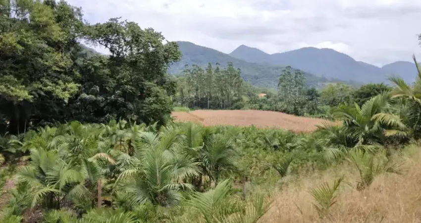 Chácara / sítio com 1 quarto à venda em Garibaldi, Jaraguá do Sul 