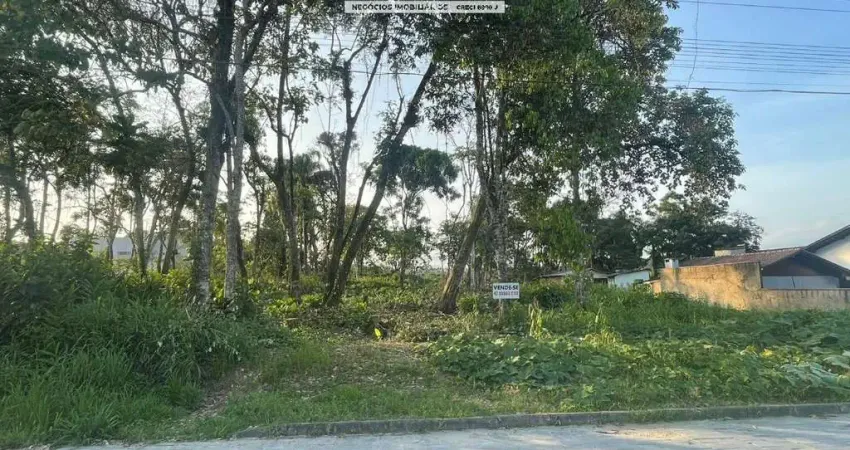 Terreno à venda na Corticeira, Guaramirim 