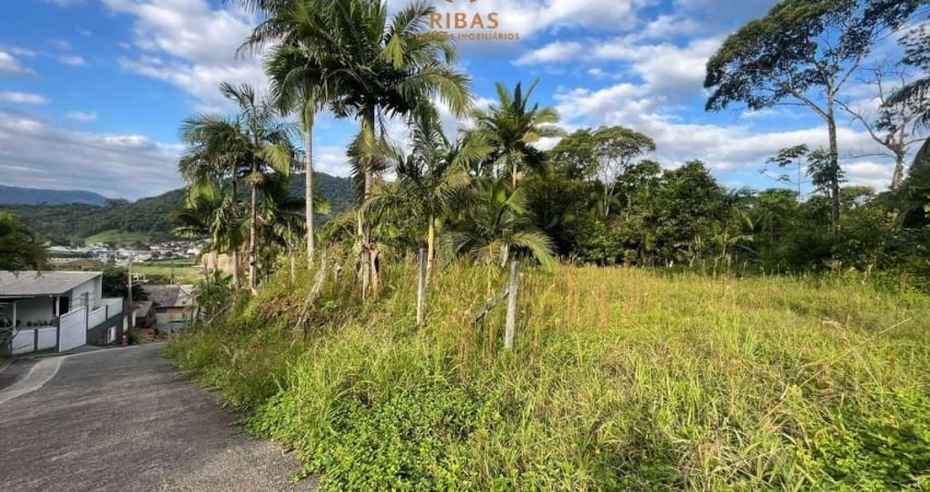 Terreno bairro Ilha da Figueira