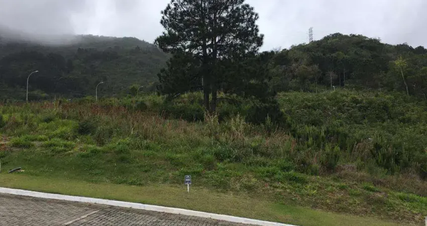 Terreno à venda na Rua Rodrigo Rampinelli Jeremias, --, Itacorubi, Florianópolis