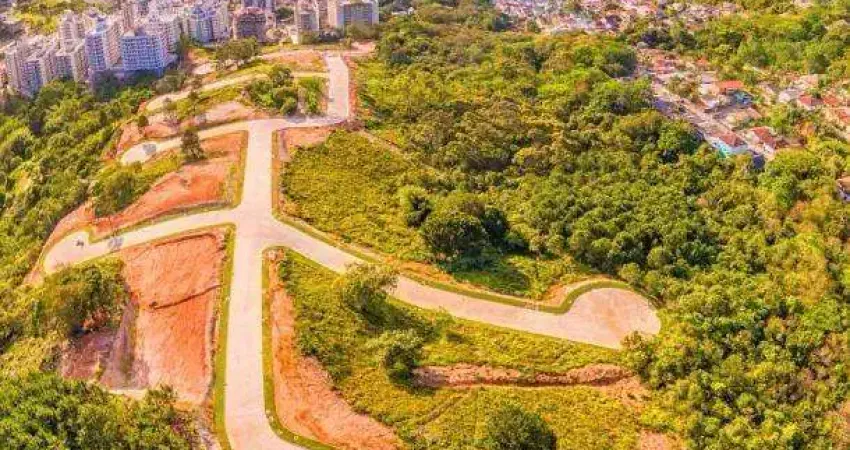 Terreno à venda na Rua Rodrigo Rampinelli Jeremias, --, Itacorubi, Florianópolis