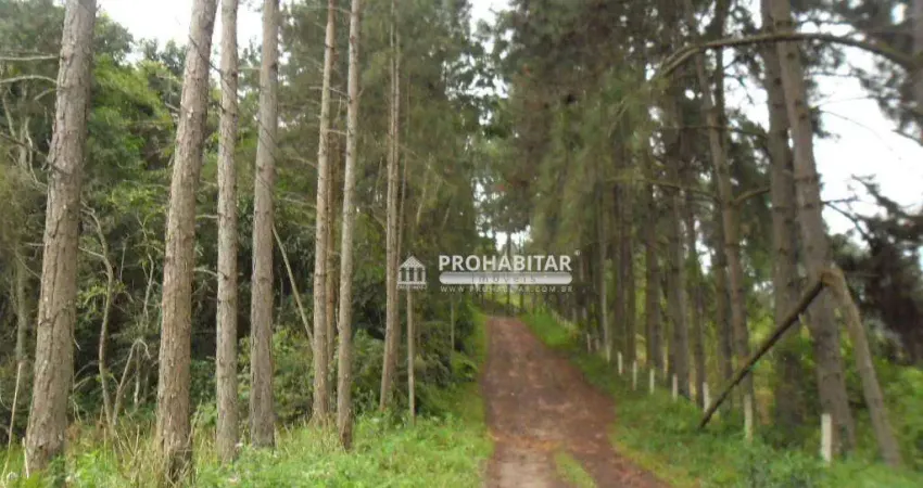 Chácara Rural à venda, Balneário São José, São Paulo - CH0054.