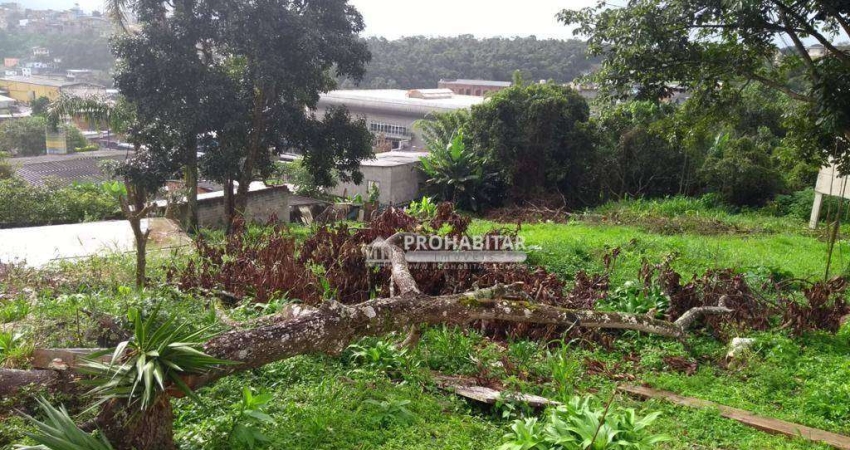 Terreno à venda, 768 m² por R$ 380.000,00 - Jardim Novo Parelheiros - São Paulo/SP