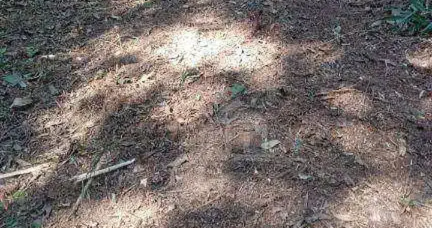 Terreno à venda na Rua Tomekichi Inouye, --, Colônia (Zona Sul), São Paulo