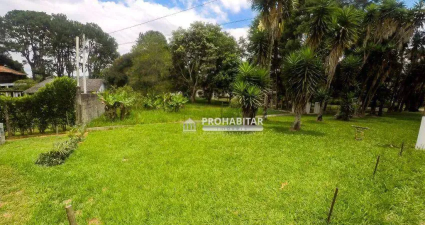 Terreno à venda na Rua David Nicolai, --, Jardim das Palmeiras (Zona Sul), São Paulo