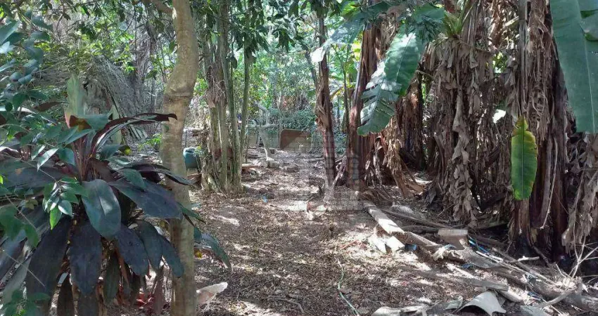 Terreno comercial à venda na Rua dos Secadouros, --, Vila Carmosina, São Paulo