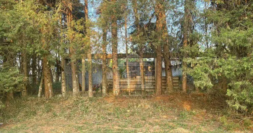 Terreno à venda no Jardim das Palmeiras (Zona Sul)