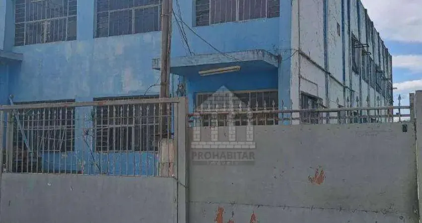 Barracão / Galpão / Depósito para alugar na Rua Pedro SantaLúcia, --, Interlagos, São Paulo