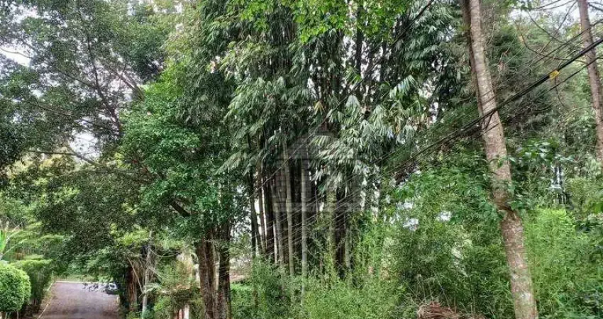 Casa com 1 quarto para alugar na Rua Benvinda Cândida, --, Chácara Bosque do Sol, São Paulo