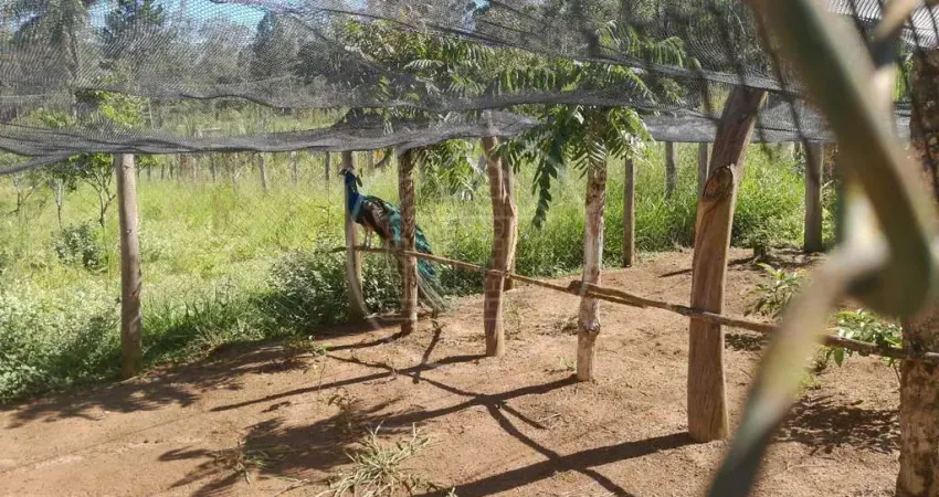 Chácara / sítio com 3 quartos à venda em Engenheiro Marsilac, São Paulo