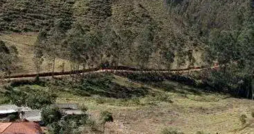 Sitio com três quartos para venda na cidade de Pedro Teixeira, MG