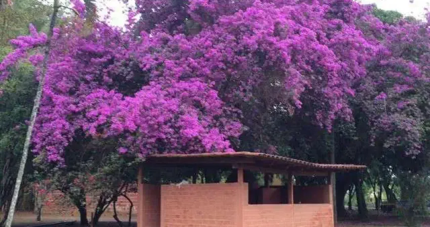 Chácara / sítio com 4 quartos à venda no Brazlândia, Brasília 
