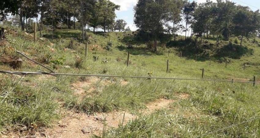 Fazenda/Sítio/Chácara para venda possui 20000 metros quadrados com 3 quartos