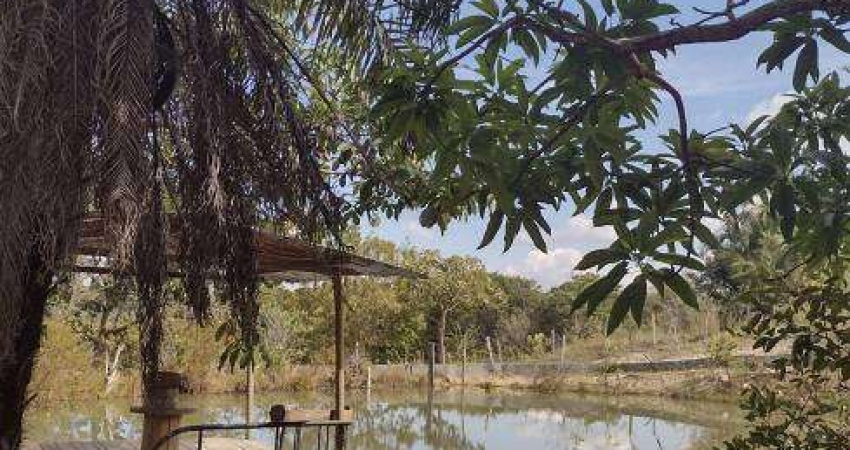 Chácara / sítio com 3 quartos à venda na Avenida Central, Jardim Nova Esperança, Goiânia