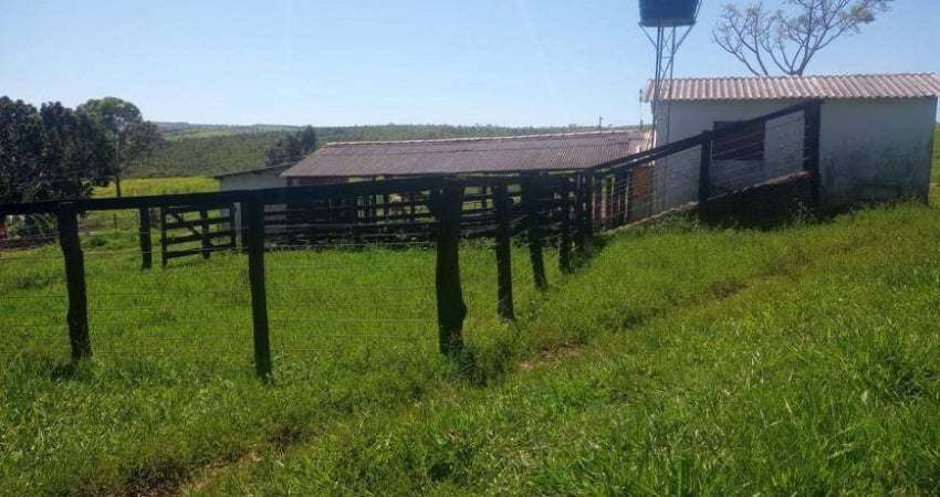 Chácara / sítio à venda na Avenida Bernardo Sayão, Setor Centro Oeste, Goiânia