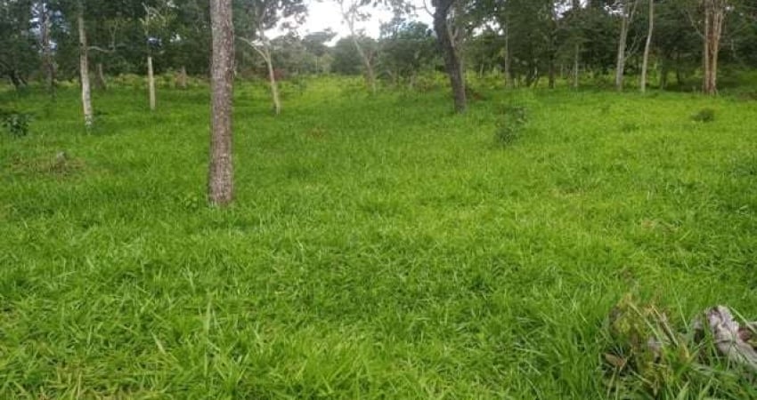 Chácara / sítio com 3 quartos à venda na Avenida Central, Jardim Nova Esperança, Goiânia
