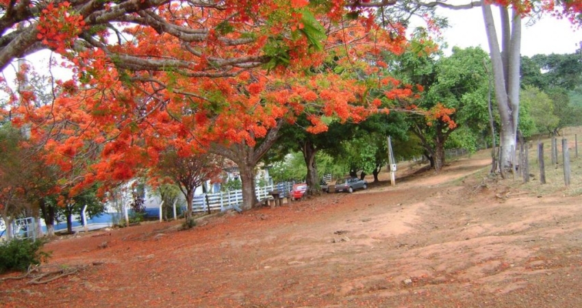 Chácara / sítio com 3 quartos à venda na Avenida Central, 5, Jardim Nova Esperança, Goiânia