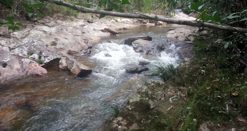 CHACARA RICA EM AGUA 04 ALQUEIRES MUNICIPIO COCALZINHO