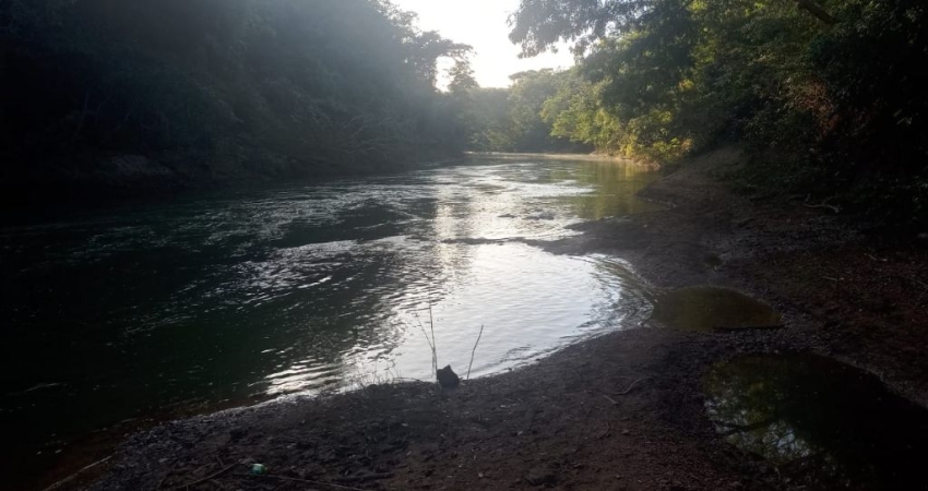 Fazenda com 3 salas à venda na Avenida Central, 10, Jardim Nova Esperança, Goiânia