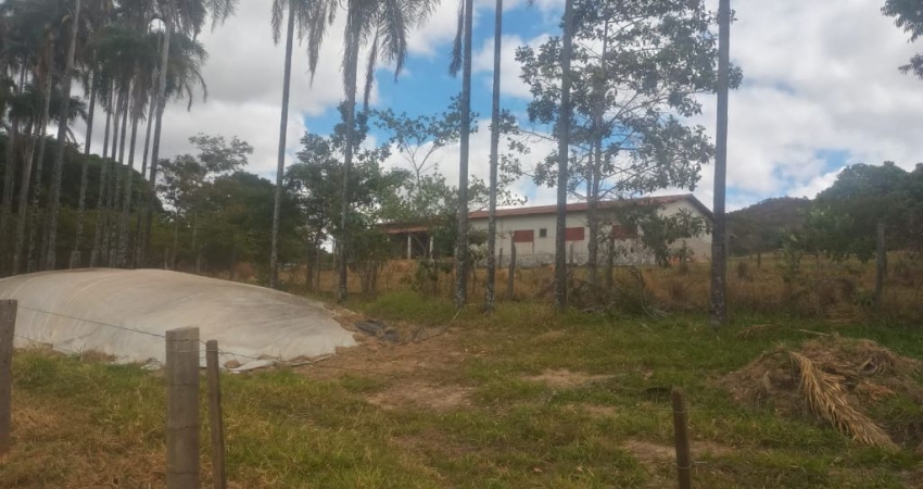 FAZENDA TERRA DE CULTURA E MUITO RICA EM AGUA 25 ALQUEIRES